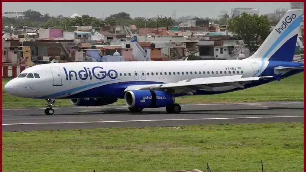 Indigo Flight