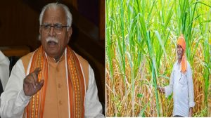 Haryana: हरियाणा सरकार ने गन्ना किसानों को नए साल में दिया बड़ा तोहफा, बढ़ाए गन्ने के दाम