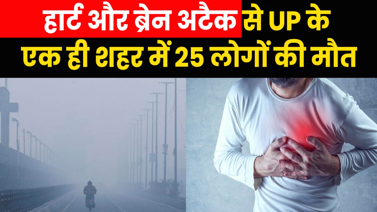 Heart Attack Due to Severe Cold: भीषण ठंड में हार्ट-ब्रेन अटैक से एक ही शहर में 25 लोगों की मौत