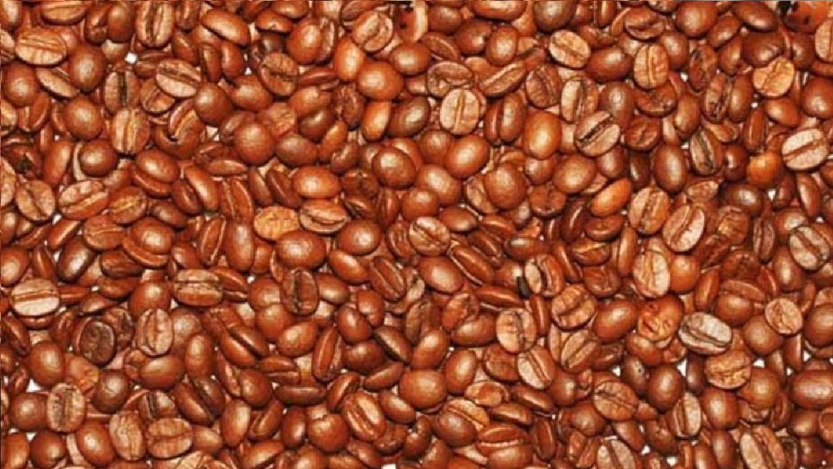 Brain Challenge: कॉफी बीन्स के बीच छिपे हैं 3 बच्चों के चेहरे, ढूंढने के लिए चाहिए बाज जैसी तेज निगाहें