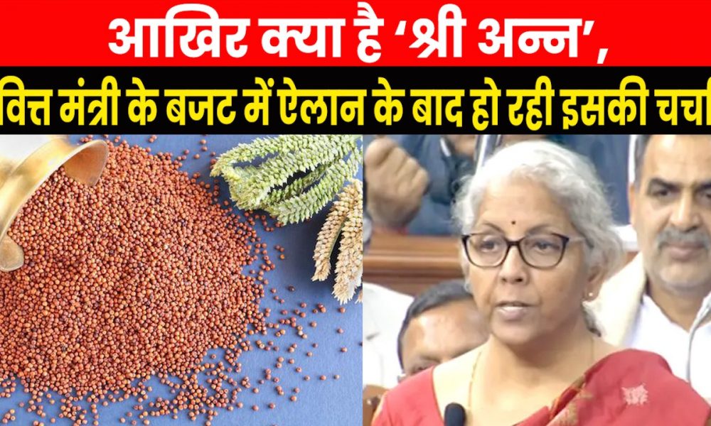 Union Budget 2023: क्या है श्रीअन्न जिसका बजट में निर्मला सीतारमण ने किया जिक्र, गिनाए फायदे