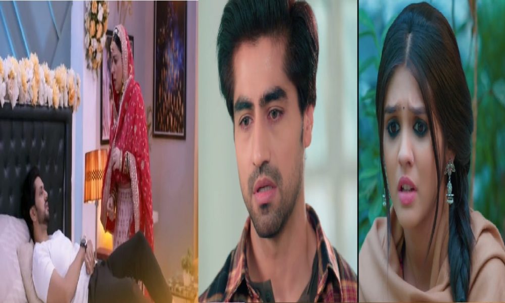 Tv Serials Update 6 February 2023: अभिनव से मदद मांगेगा अभिमन्यु तो अर्जुन को लगेगी गोली