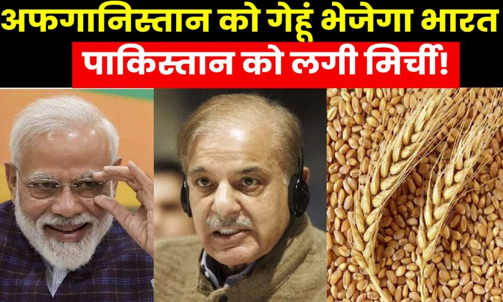 India- Afghanistan: कूटनीतिक मोर्चे पर भारत का बड़ा दांव, Afghanistan को भेजेगा 20 हजार टन गेहूं