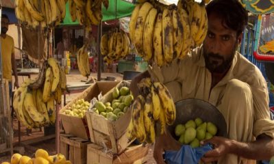 pakistan fruit market 1