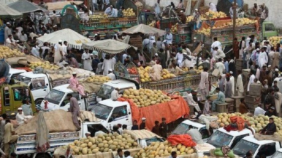pakistan fruit market 2
