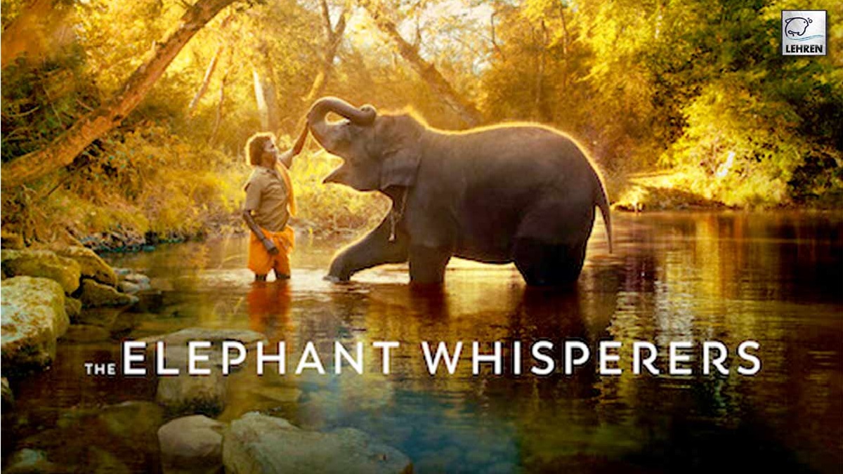The Elephant Whisperers On OTT: Oscar Award जीतने वाली डॉक्यूमेंट्री, द एलिफेंट व्हिसपरर्स को ओटीटी पर कहां देखें