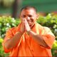 yogi