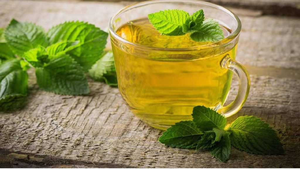 Spearmint Tea