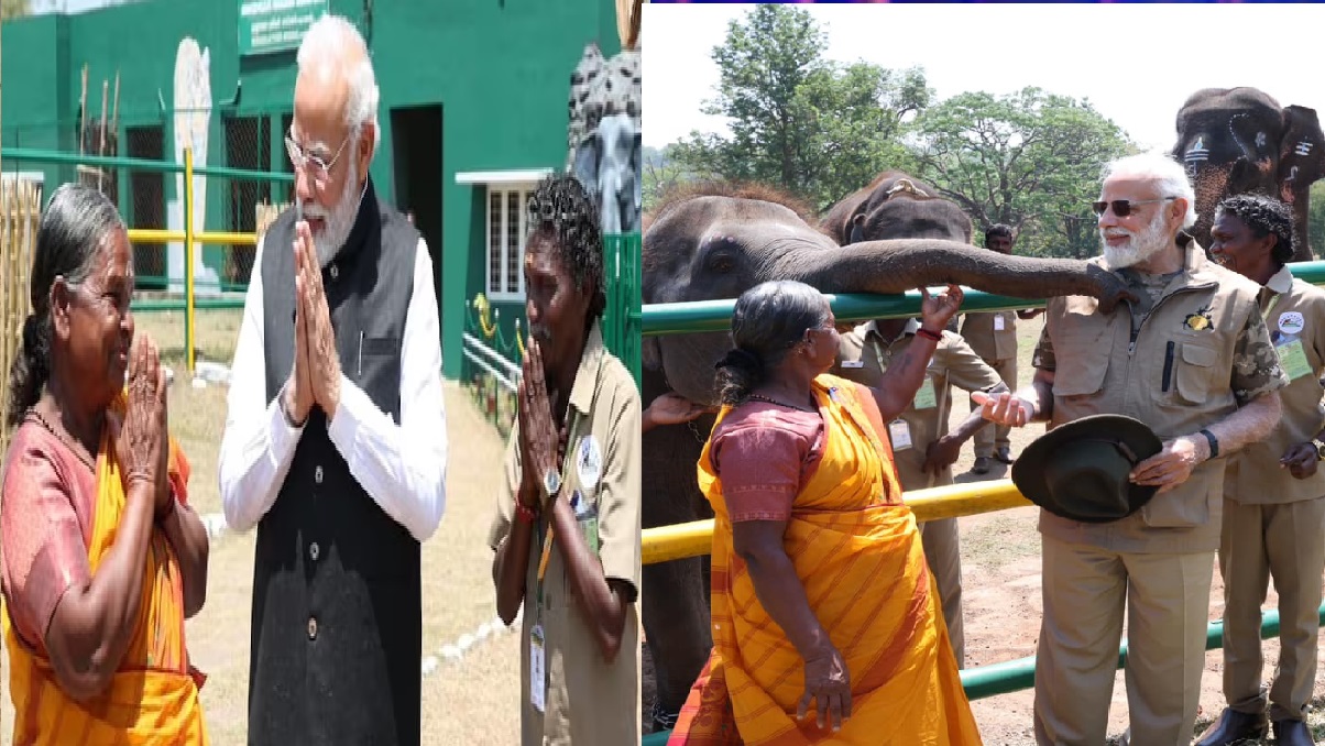 PM Meet Bomman and Belli: शॉर्ट फिल्म The Elephant Whisperer के असल कलाकारों से मिले पीएम मोदी, चेहरे पर दिखी अद्भुत मुस्कान