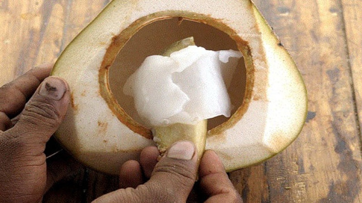 Coconut Malai: नारियल की मलाई का जादू देख आप भी रह जाएंगे हैरान, चेहरे पर इसे ऐसे लगाए और फिर देखें कमाल