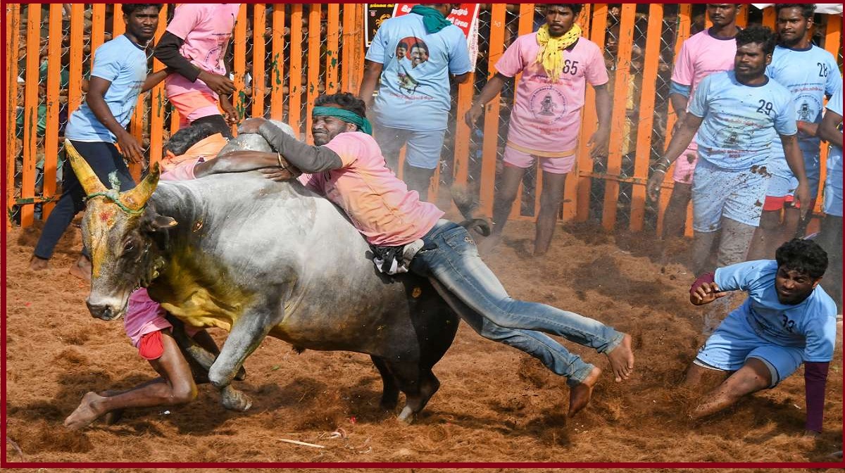 Jallikattu In Tamil Nadu: तमिलनाडु के पारंपरिक खेल जल्लीकट्टू पर नहीं लगेगा बैन, SC का रोक से इंकार