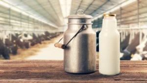 Milk Price Hike: त्योहारी सीजन में महंगाई की मार, मुंबई वासियों को अब दूध के लिए देने होंगे इतने पैसे