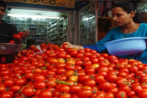 Tomato Rates: दिल्ली-NCR समेत इन शहरों में ग्राहकों को जल्द मिलेगी टमाटर की बढ़ी कीमतों से राहत, सरकार ने उठाया ये बड़ा कदम