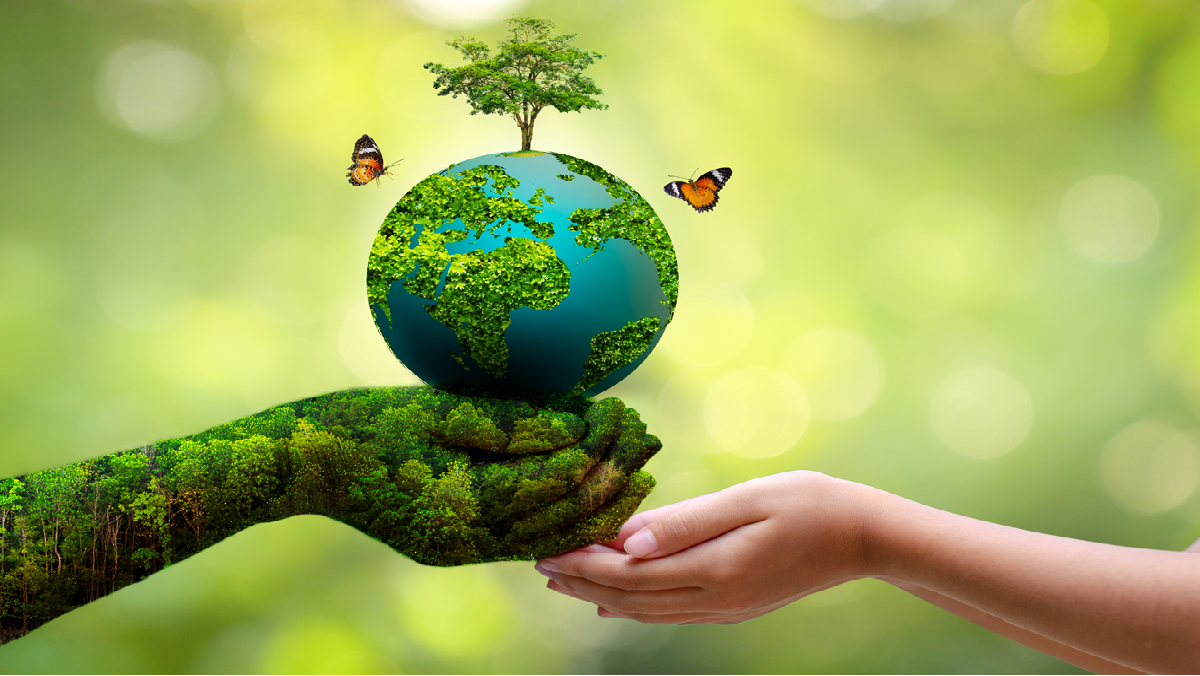 World Environment day