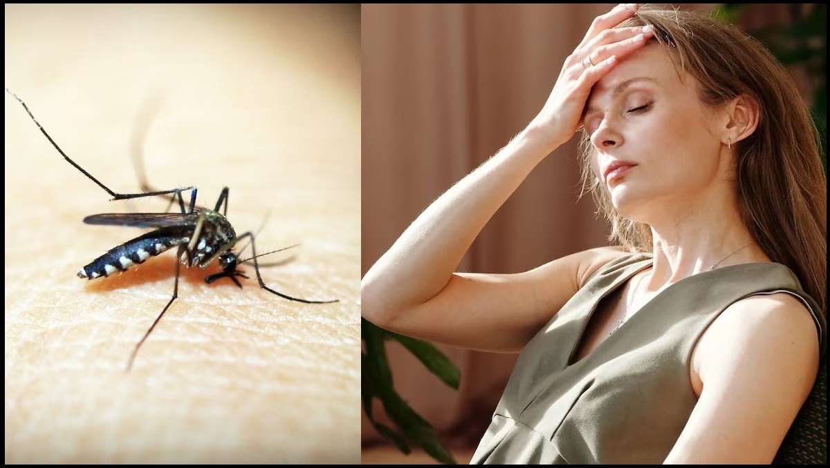 Dengue: तेजी से बढ़ रहा है डेंगू का कहर, जानिए क्या खाएं और क्या न खाएं