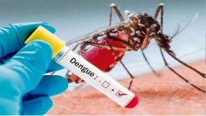 Dengue: डेंगू में जल्दी ठीक होने के लिए जरूर खाएं ये 5 चीजें, कम समय में हो जाएंगे रिकवर