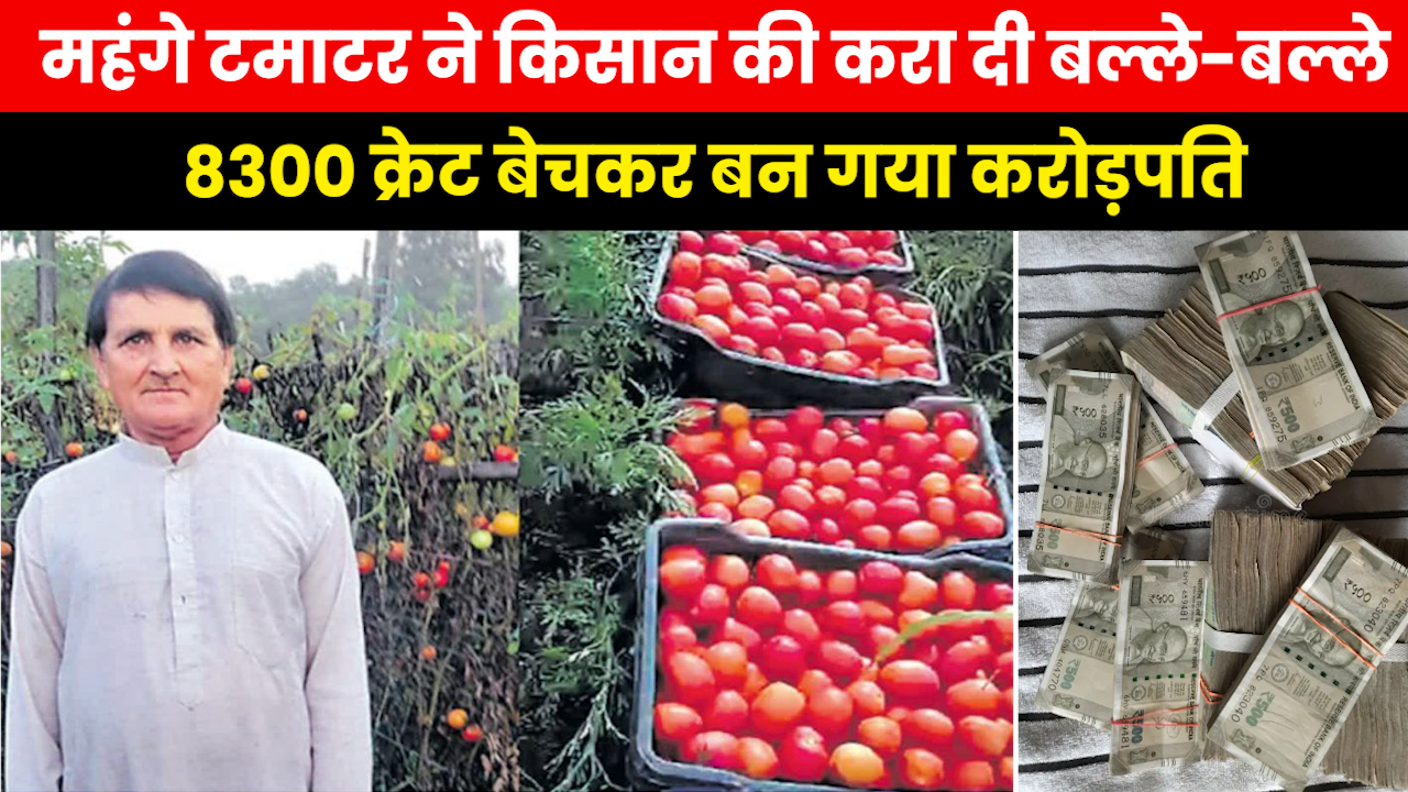 Who is Jairam Saini : हिमाचल का ये किसान टमाटर बेचकर बना करोड़पति..52 साल से कर रहे हैं खेती