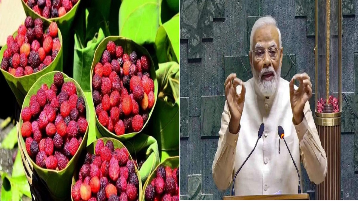 Kafal Fruit Uttarakhand: प्रधानमंत्री मोदी को भाए उत्तराखंड के काफल, कहा-रसीले और दिव्य मौसमी फल है काफल