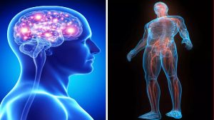 Bone Health: इन आदतों के कारण हड्डियां हो जाती हैं अंदर से खोखली, तुरंत छोड़ दें