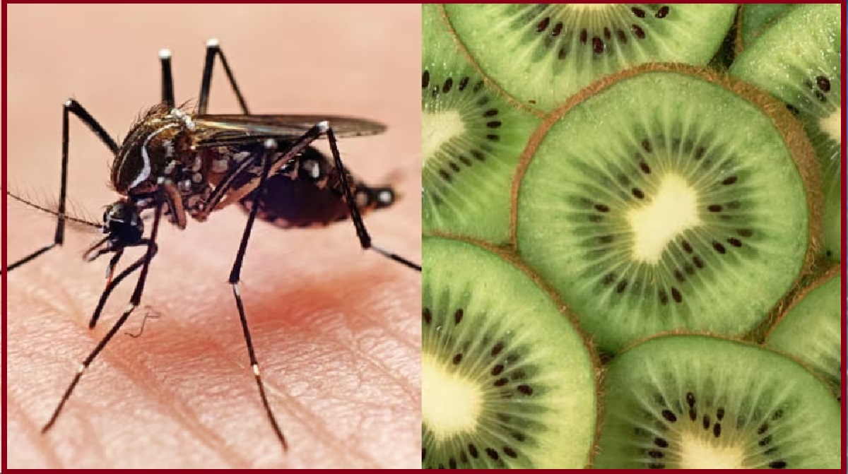 Dengue Diet