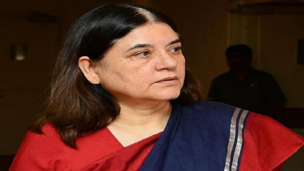 maneka gandhi