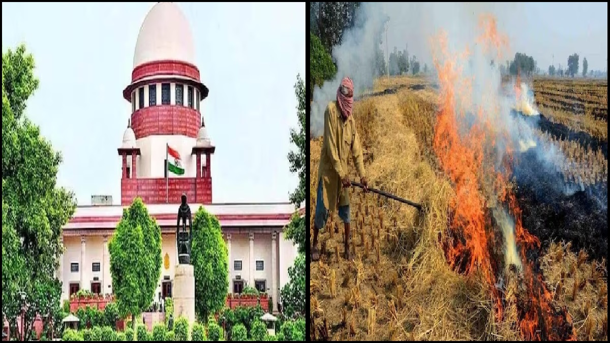 Supreme Court on stubble Burning: ‘बंद कीजिए किसानों को खलनायक बनाना..हरियाणा से कुछ सीखिए’, SC ने लगाई पंजाब सरकार को फटकार
