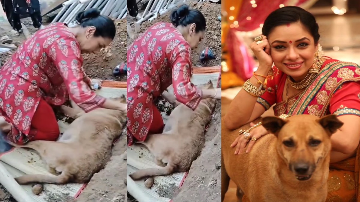 Anupama’ Dog Death: कुत्ते की मौत से सदमे में Anupama!, हुआ ऐसा हाल कि वीडियो देखकर नहीं रोक पाएंगे आंसू