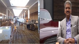 Watch Video: देखिए ‘रामू’ बैल कैसे खुद करता है सारे काम, उद्योगपति आनंद महिंद्रा भी हुए मुरीद, बताया मोटिवेशनल स्पीकर