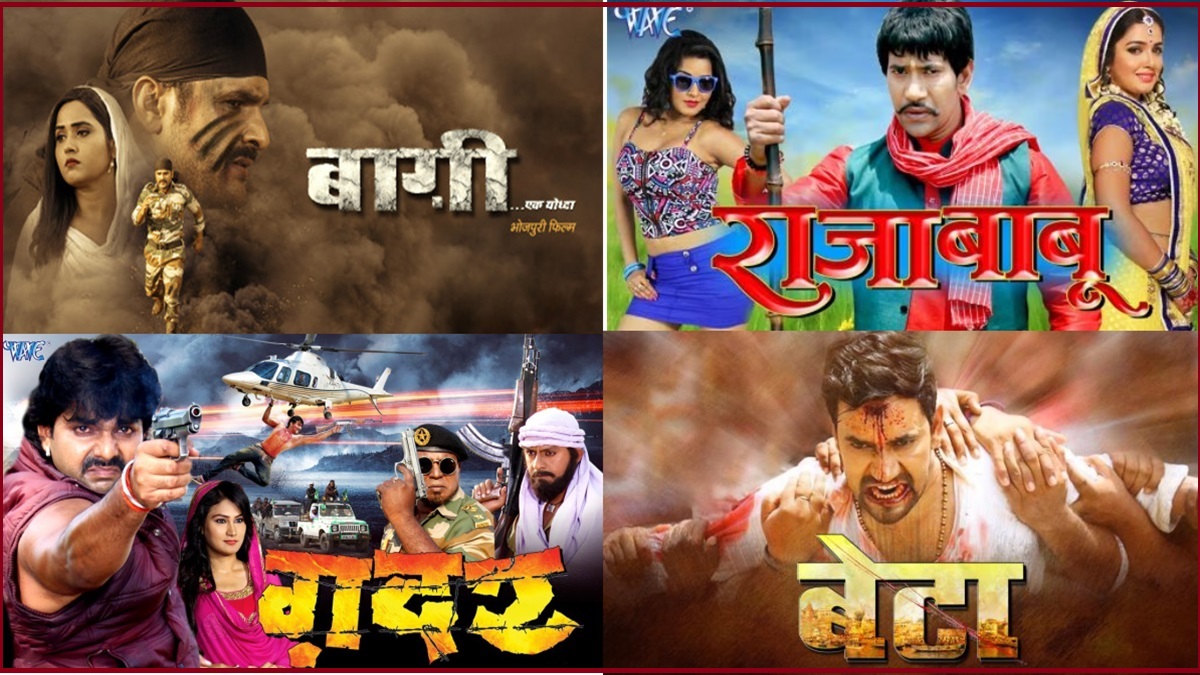 Bollywood Films Remake in Bhojpuri: ‘बागी’ से लेकर ‘गदर’ तक.. बॉलीवुड की इन मूवी का भोजपुरी में बन चुका रीमेक
