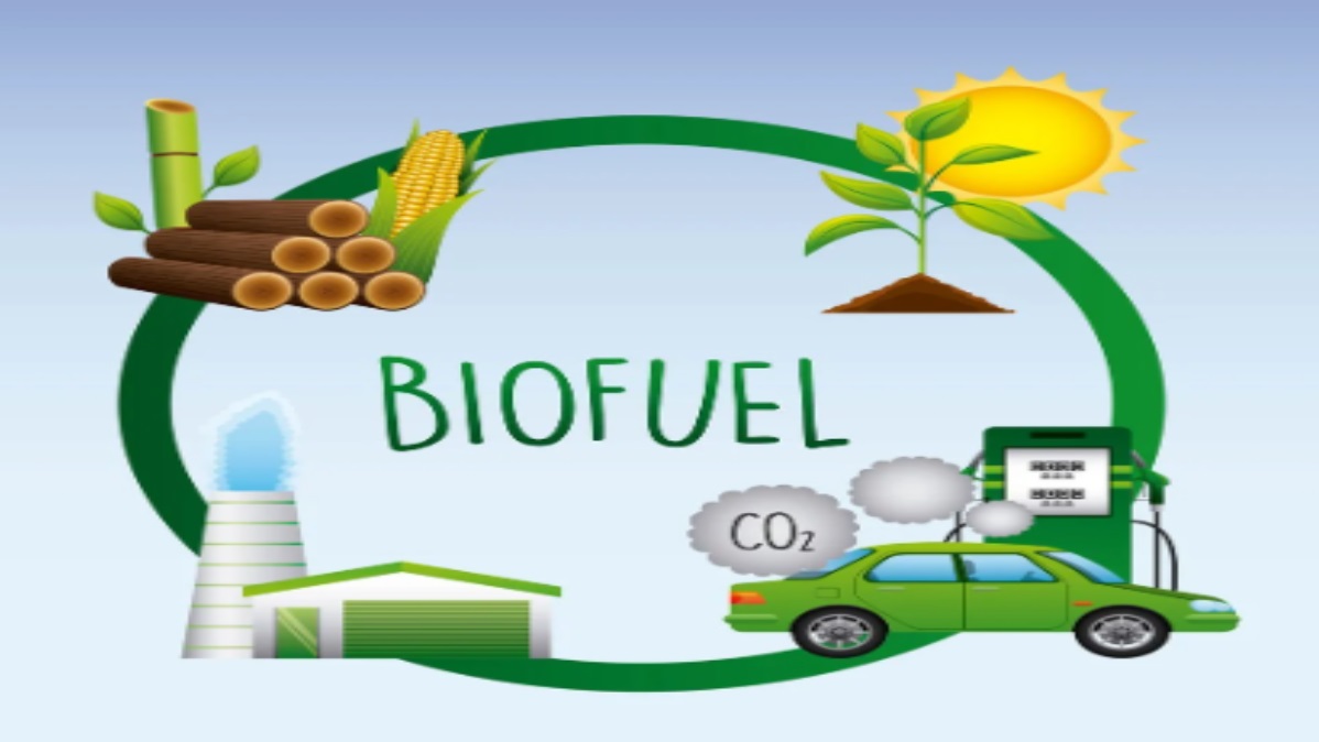 क्या Global Warming का काट बनेगा Biofuel, जानिए भारत में Investment और सरकार की योजनाओं के बारे में