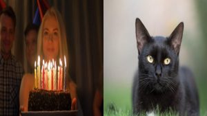 Astrological Upay for Cutting Cake on Birthday: केक काटना सही या गलत? क्या आप भी आधी रात 12 बजे काटते हैं केक तो कर रहे अपना नुकसान