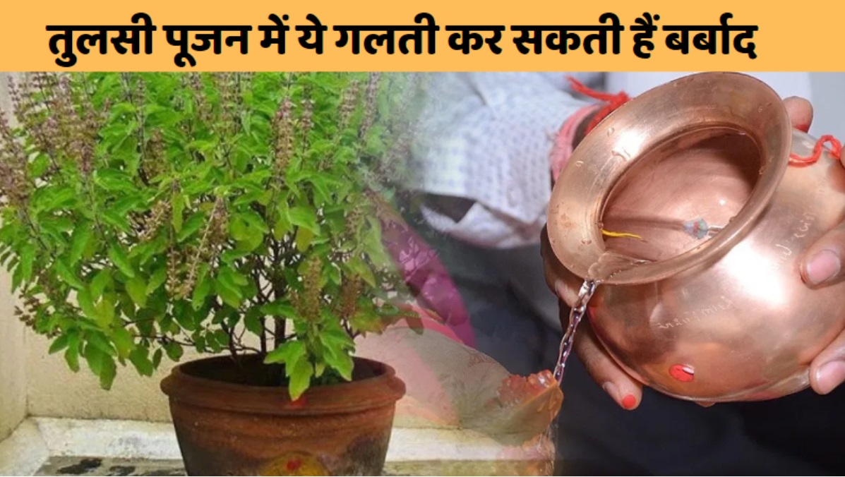 Worship- Rules of Tulsi: घर में है तुलसी का पौधा तो ये नियम और विधि कर लें याद, नहीं को रुष्ट हो जाएंगी मां लक्ष्मी