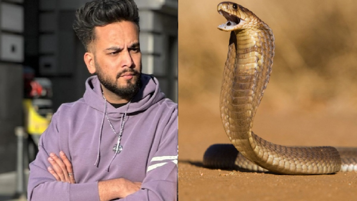 Elvish Yadav Snake Venom: क्या Elvish Yadav ने सच में कबूली साँपों के ज़हर सप्लाई की बात