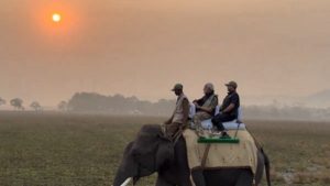 Modi In Kaziranga: पीएम मोदी ने अपने काजीरंगा दौरे का वीडियो X पर किया शेयर, दुनियाभर के लोगों को यहां पर्यटन के लिए दिया न्योता