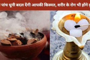 Astrological Benefits of Dhuni: घर में किस धूनी से होगा कौन सा फायदा, पैसों से लेकर वास्तुदोष तक हो सकता है दूर