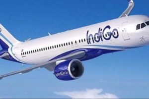 Indigo Flight Emergency Landing : इंडिगो के विमान में बचा था सिर्फ 1 या 2 मिनट का फ्यूल, यात्रियों की हलक में अटकी रही जान