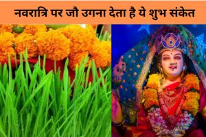 Importance of Barley in Chaitra Navratri 2024: नवरात्रि पर उगाए गए जौ देते हैं इन चीजों का शुभ संकेत, अगर पीले हो रहे जौ, तो हो जाए सावधान