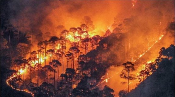 Uttarakhand Forest Fire : धधक रहे उत्तराखंड के जंगल, नैनीताल में हाईकोर्ट कॉलोनी तक पहुंची आग, सेना की ली गई मदद