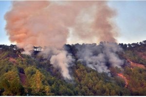 Himachal Pradesh Forest Fire : उत्तराखंड की तरह अब हिमाचल के जंगलों में लगी आग, अभी तक इतना हुआ नुकसान