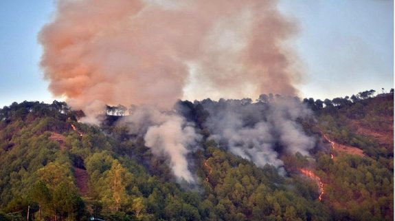 Himachal Pradesh Forest Fire : उत्तराखंड की तरह अब हिमाचल के जंगलों में लगी आग, अभी तक इतना हुआ नुकसान