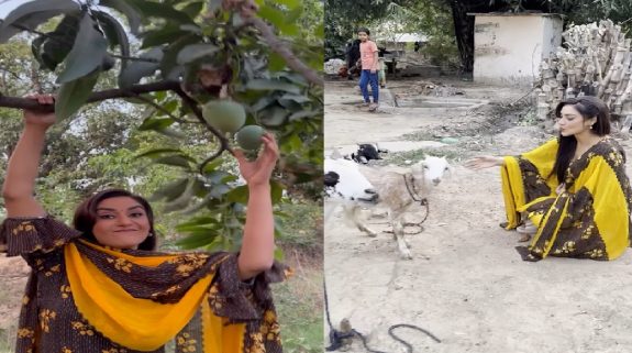 गांव की गोरी बन रति पांडे ने पेड़ की बगिया से तोड़े आम, बकरियों के साथ की मस्ती
