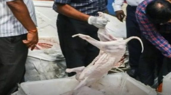 Bengaluru Alleged Dog Meat Row: बेंगलुरु के होटलों में परोसने के लिए जयपुर से कुत्ते का मांस मंगाने का आरोप, एफएसएसएआई ने जांच के लिए लिया सैंपल