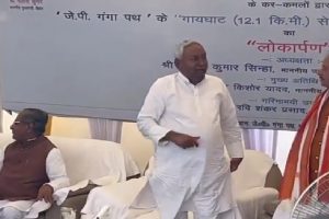 Nitish Kumar Viral Video: अफसर का पैर छूने के लिए उठे बिहार के सीएम नीतीश कुमार!, वीडियो वायरल