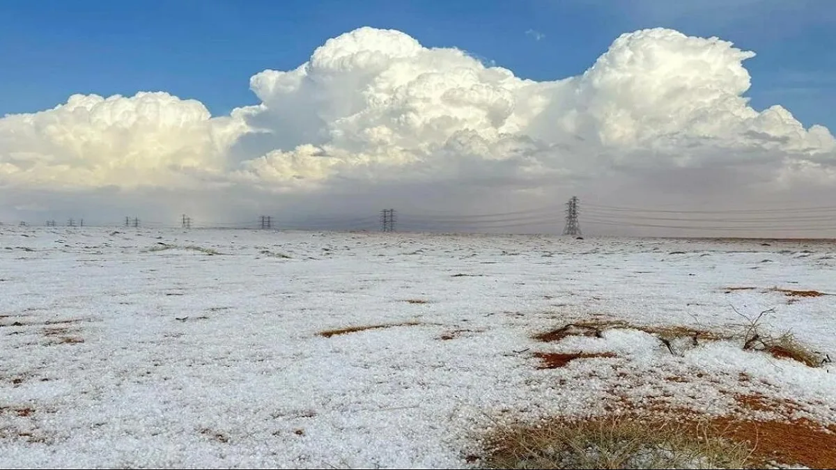 Saudi Arab Snowfall: सऊदी अरब के रेगिस्तानी क्षेत्र में हुई भारी बर्फबारी, ऐसा नजारा देख हर कोई हैरान