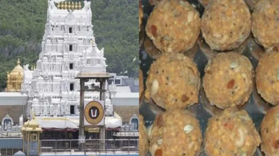 Beef Tallow And Fish Oil Found In ‘Prasadam’ Laddus Of Tirupati Temple : विश्व प्रसिद्ध तिरुपति मंदिर के ‘प्रसादम’ लड्डू में मिली गाय की चर्बी और मछली का तेल