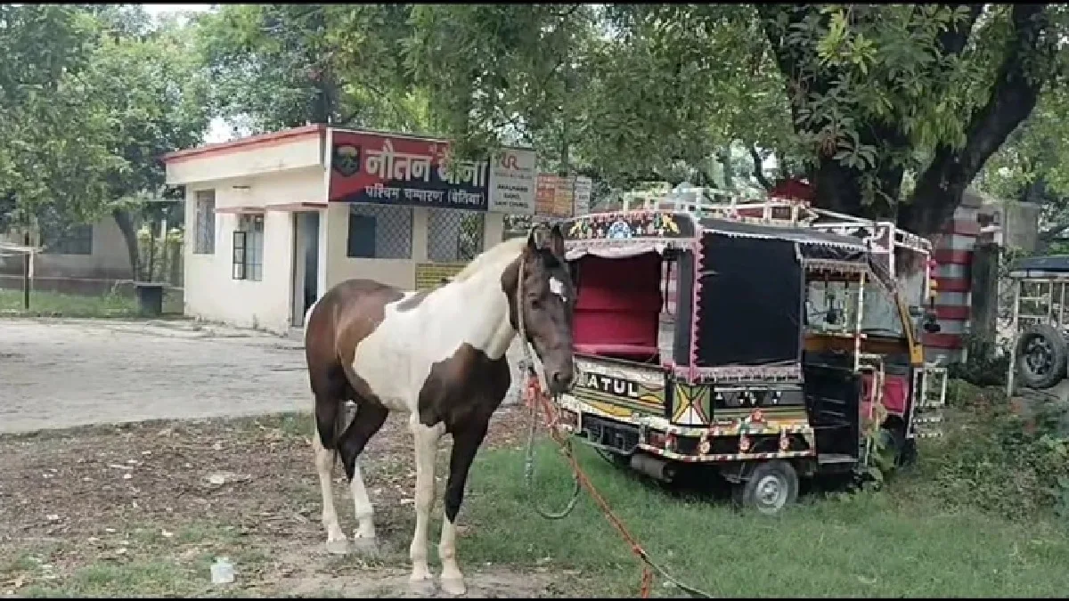 Liquor Smuggling In Bihar : बिहार पुलिस घोड़े को पकड़कर लाई थाने, हर तरफ हो रही चर्चा, जानिए क्या है पूरा मामला