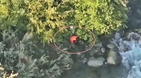 Terrorists Helper Jumped Into River To Escape From Security Forces : कुलगाम में आतंकियों की मदद करने वाला युवक सेना से बचने के लिए नदी में कूदा, डूबने से हुई मौत