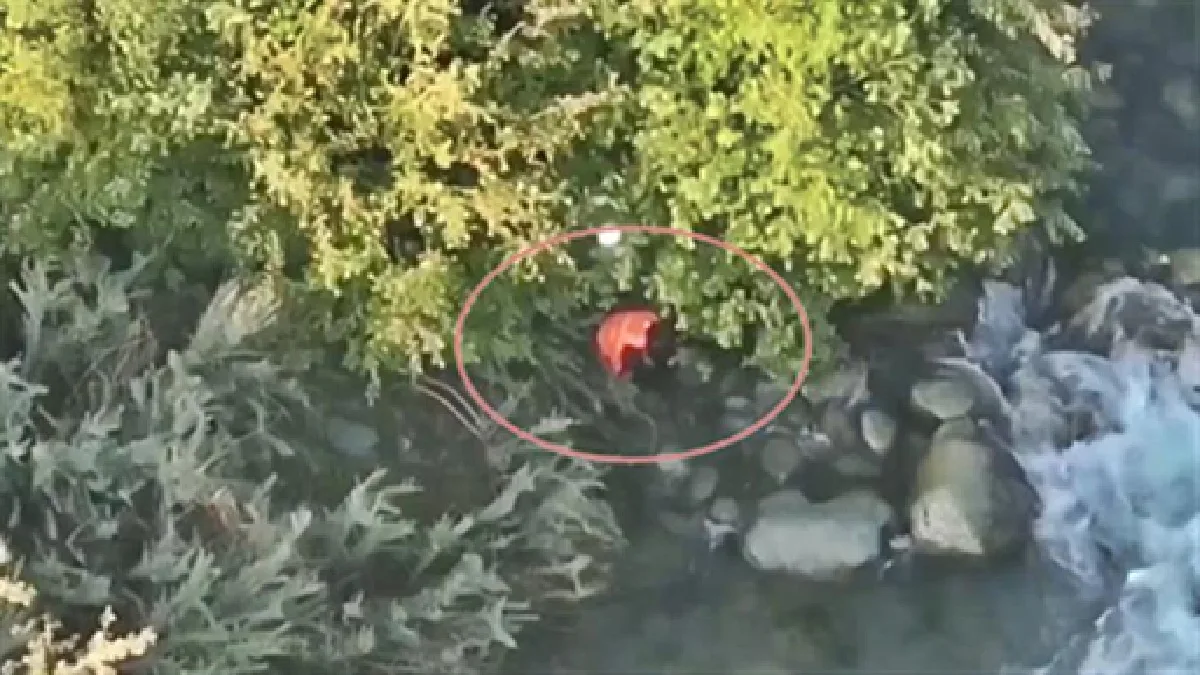 Terrorists Helper Jumped Into River To Escape From Security Forces : कुलगाम में आतंकियों की मदद करने वाला युवक सेना से बचने के लिए नदी में कूदा, डूबने से हुई मौत