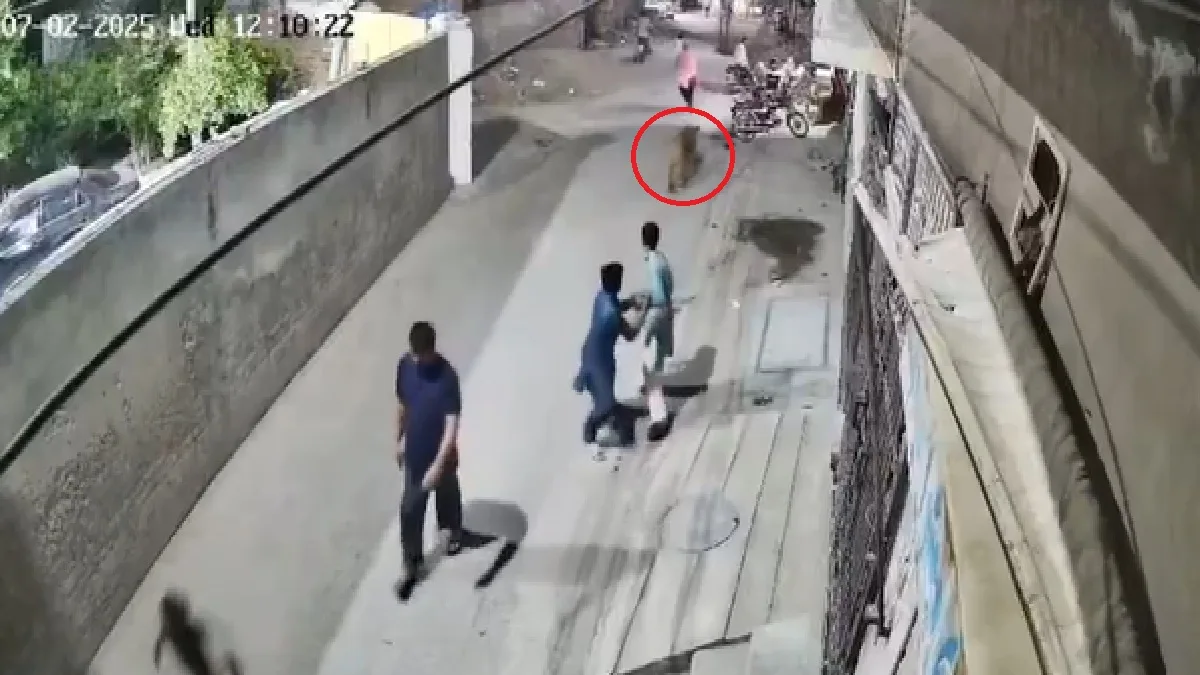 Lion Attack In Lahore: लाहौर में पालतू शेर ने महिला और बच्चों पर कर दिया हमला!, देखिए घटना का Video