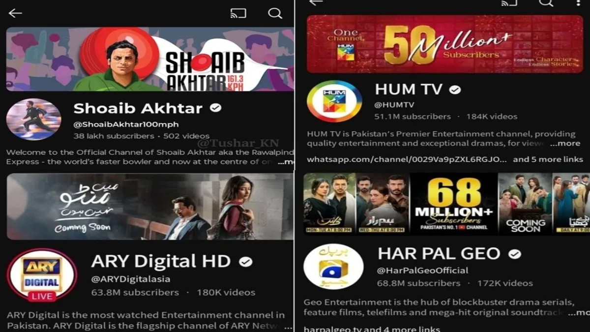 Action On Pak Youtube Channels And SM Accounts: इस वजह से दिखने लगे थे भारत विरोधी पाक के यूट्यूब चैनल और सोशल मीडिया अकाउंट्स, फिर किए गए बैन